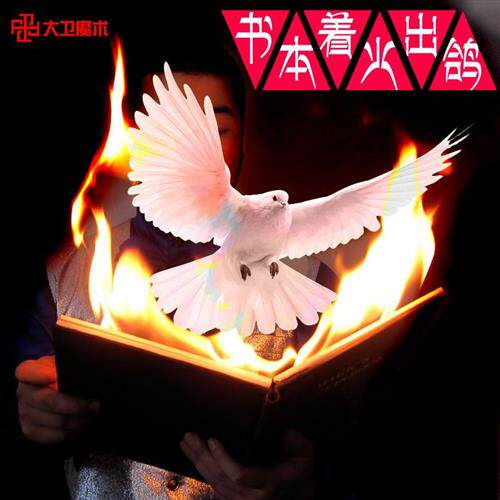 极速大卫魔术道具火类 黑色书本着火出鸽子 魔术师舞台表演震撼
