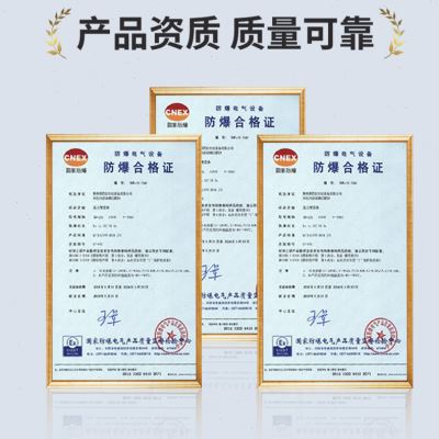 好货浮球液位变送器磁浮子传感器 插入式磁性干簧管浮球液位计 42
