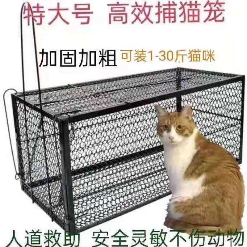极速全自动捕猫笼家用室内捉猫神器人道救助流浪猫耗子逮猫笼抓猫