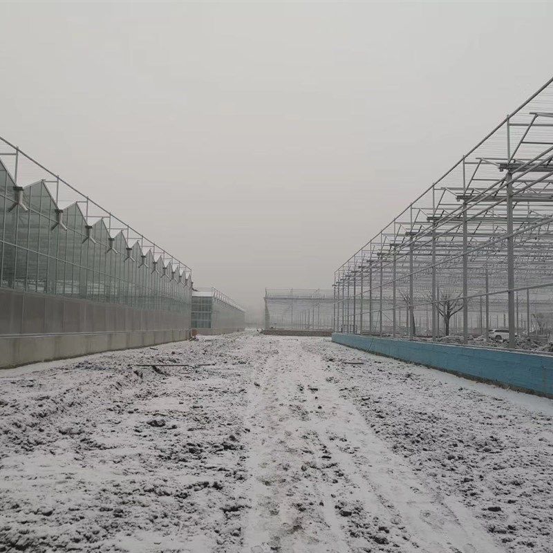 智能玻璃温室大棚连栋温室PC温室大棚骨架现代化农业设施大棚,农机/农具/农膜,温室阳光板,淘宝优惠券,粉丝福利购,淘宝优惠卷