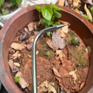 不锈钢单爪根钩松土根勾园艺工具盆栽盆景养护松土钩木柄单爪钩