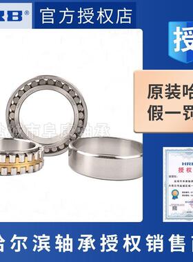 双列圆柱滚子轴承NN3010K/P4W33 NN3014K/P4W33 NN3024K/P4W33