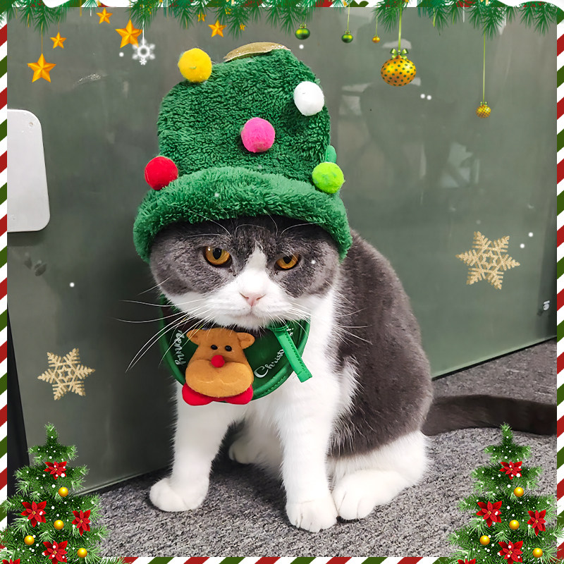 猫咪圣诞装帽子口水巾新年成猫幼猫可爱过年冬季衣服狗狗宠物用品