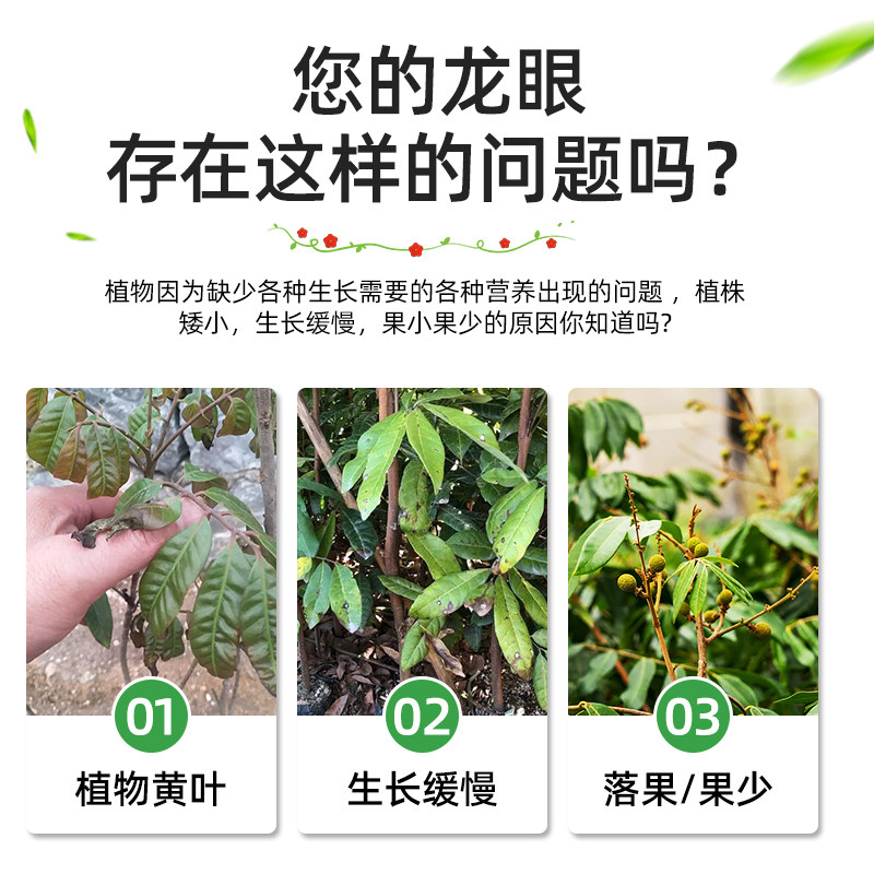 速发龙眼树专用肥龙眼树肥料保果桂圆有机肥营养液复合肥剂果树水