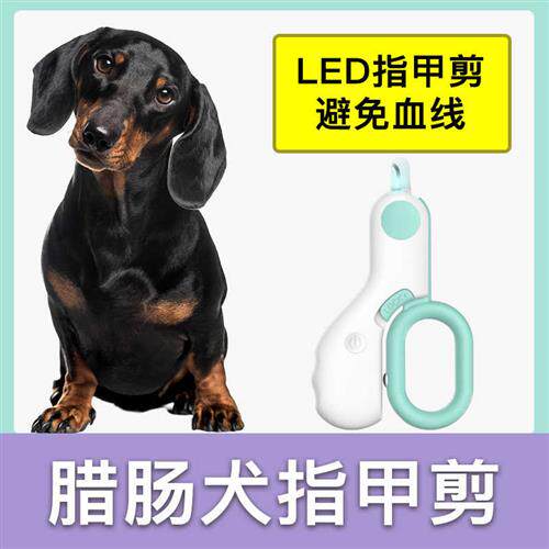 速发腊肠犬专用指甲血成幼犬指甲刀指甲钳线剪照带灯新手用