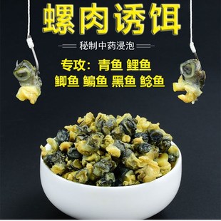 速发螺颗野钓青鱼鲤鱼鲶肉黑料黑坑湖库螺丝鱼肉粒钓鱼食