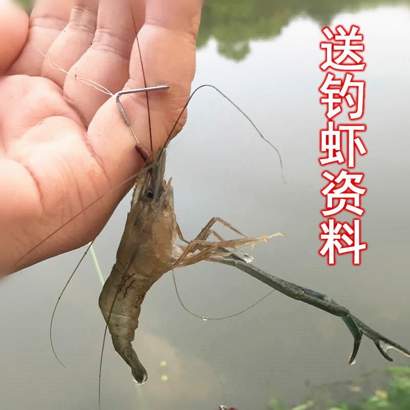 速发纯手工河虾龙虾大头虾草虾钩钓虾虾竿杆钩用双钩串专线组套餐