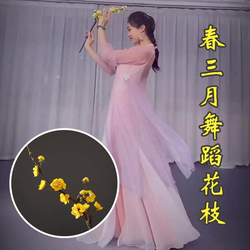 速发春三月服蹈花枝舞蹈舞装搭配演出服纱衣高枝道具花端腊梅花