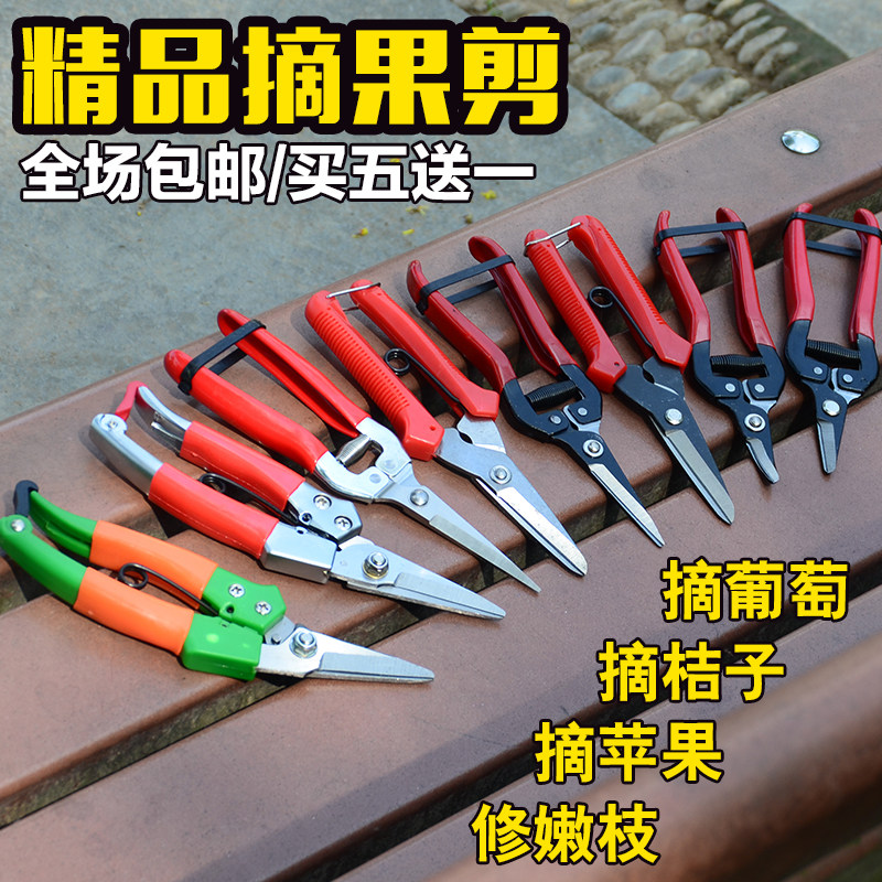 速发摘果剪菜艺修枝剪果果剪刀水稀桔子蔬园采摘葡萄剪子采果摘果
