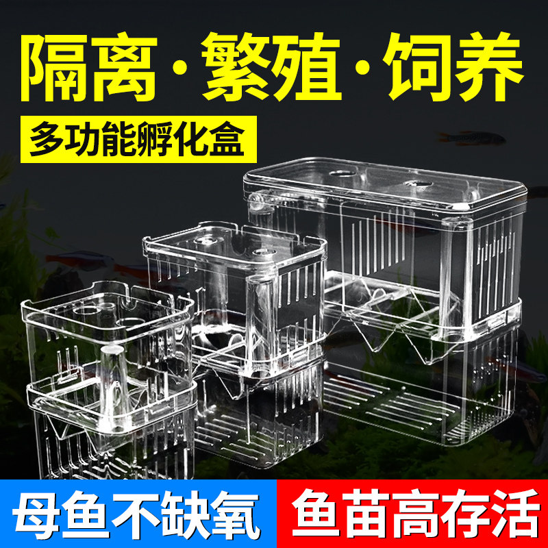 速发鱼缸多功能隔离网水族箱隔化盒板孵化盒大号孵离器鱼盒孔雀繁