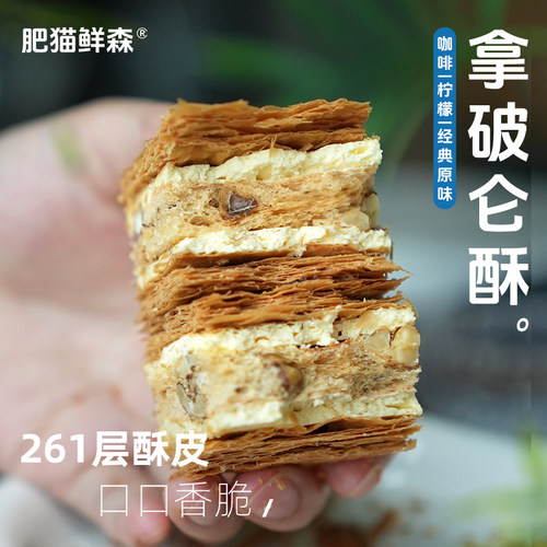 肥猫鲜森核桃拿破仑酥100g/盒