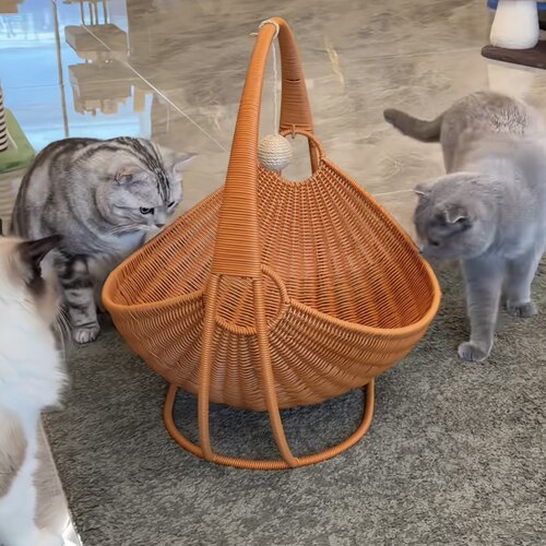 海盗船猫窝摇床猫玩具解闷自嗨