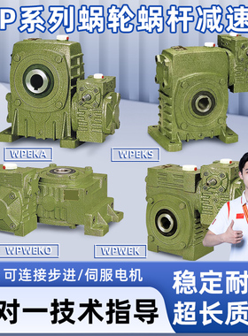 WPEKA WPEKS WPWEKO WPWEK 铁壳蜗轮蜗杆减速机变速齿轮箱波箱