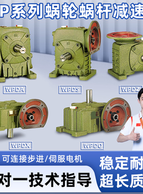 WPDA/WPDS/WPDZ/WPDO/WPDX 50 60 70 80 100 120 蜗轮蜗杆减速机