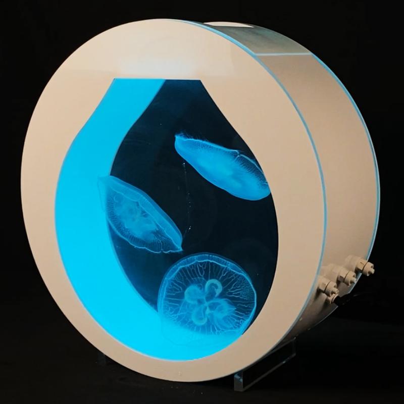 专业水母缸大型观赏活宠物大西洋黑星海刺水母智能恒温海水生态缸