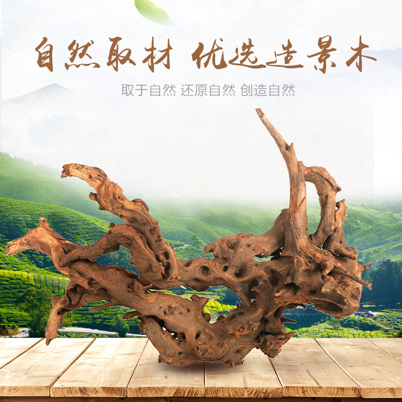 好货鱼缸造景沉木水草小型杜鹃根巴西木天然装饰树根大型树森林树