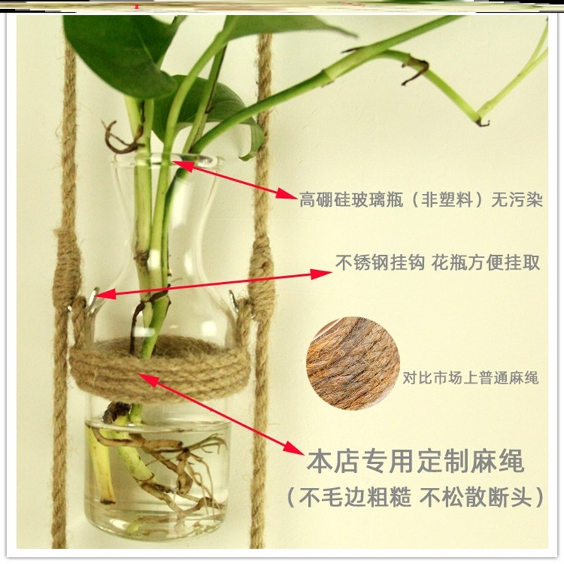 好货绿萝壁挂墙壁花架置物架花瓶室内卧室植物水培餐厅贴墙墙面垂