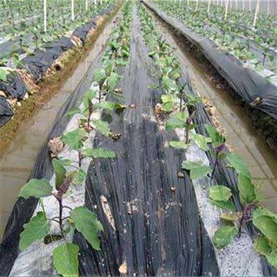 新品蔬菜多c功保能塑料大棚薄膜膜温地膜农用地f单白防草保湿定制