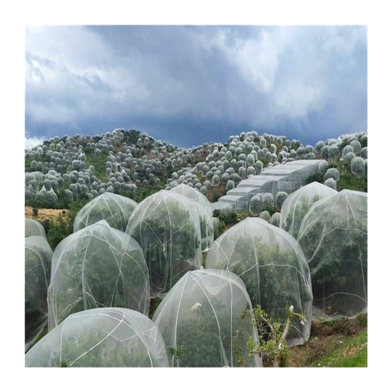 AS植物防虫网罩果树防虫放白粉蝨防鸟防晒网套蔬菜防果蝇套袋网纱