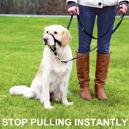 好货Training Durable Dog Muzzle Pet Supplies Puppy Anti Biti