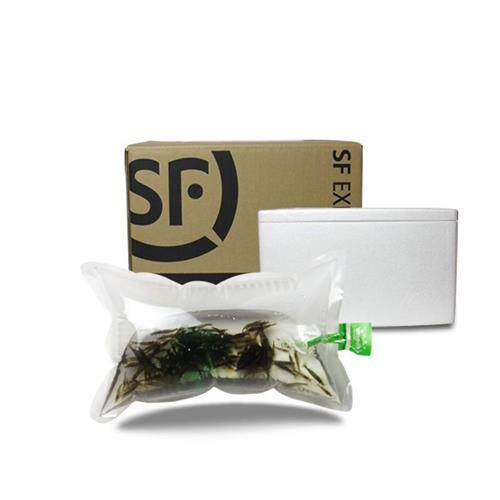 极速厂家小虾米活虾龟粮黑虾除藻大除藻清缸虾草缸工具鱼虾黑壳虾