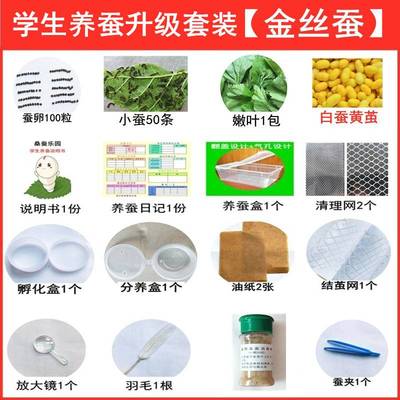 蚕宝宝活体小学生养蚕套装儿童春蚕小蚕1龄2龄幼虫活物送新鲜桑叶