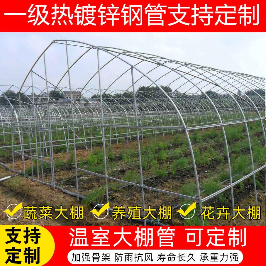 好货棚养殖大棚配室大棚骨架定制农肉大棚M多业钢架钢管温件全套