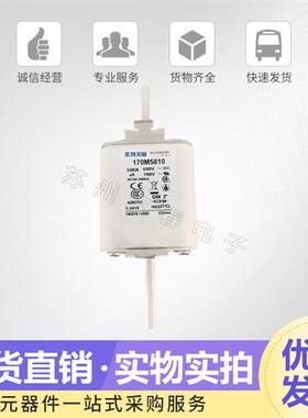 极速厂家巴斯曼熔断器170M5808 5809 5810 5811 5812 5813可直拍