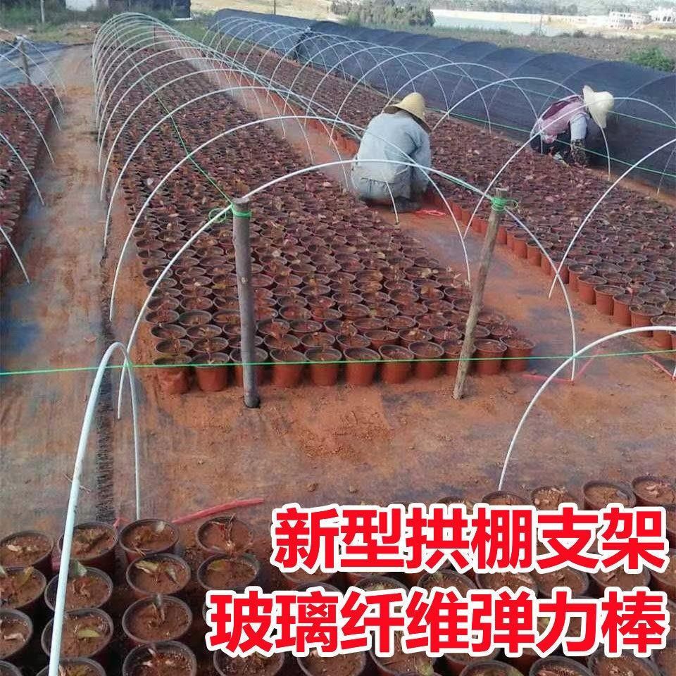 乐众青山家用玻璃纤维小拱棚支架供杆骨架彩棚地膜支架