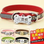 狗牌防走丢身份牌刻字项圈泰迪斗牛中小型犬宠物脖圈夜间反光颈圈