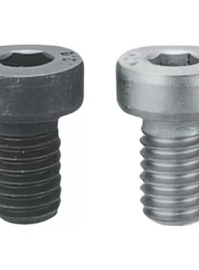 CBS10/12-16/20/25/30/35/40/45/50 CBSH10/12 低头内六角螺栓