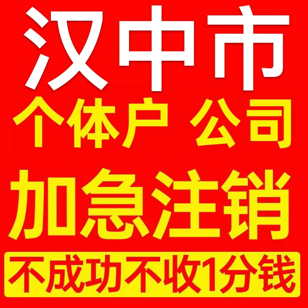 汉中市略阳县个体户注销营业执照代办企业异常公司注册电商执照