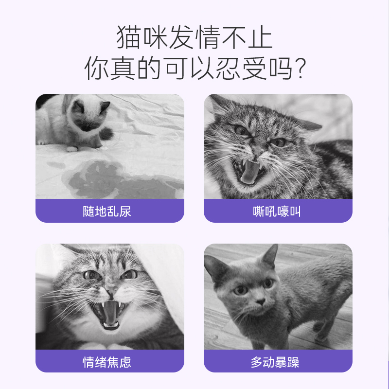 速发猫咪禁情液禁发情粉母猫禁情粉公猫专用猫咪发情抑制药非药绝