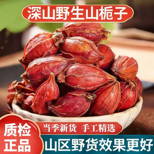 山栀子中药材官方旗舰店泡水喝花茶泡茶野生黄栀子色素上色干香料