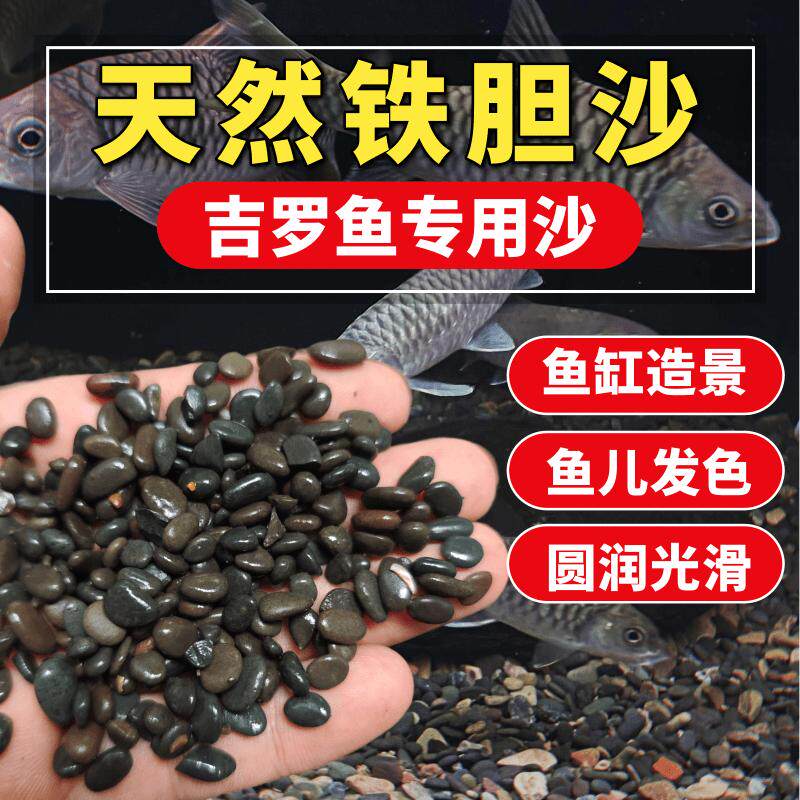 铁胆沙鱼缸底砂造景沙乌龟缸