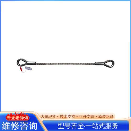 {议价}ZYT 卓引特 带套环麻芯压制钢丝绳索具 WCF22-10