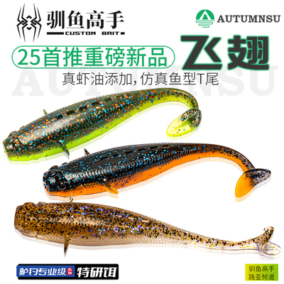 驯鱼高手飞翅仿真鱼型路亚饵T尾