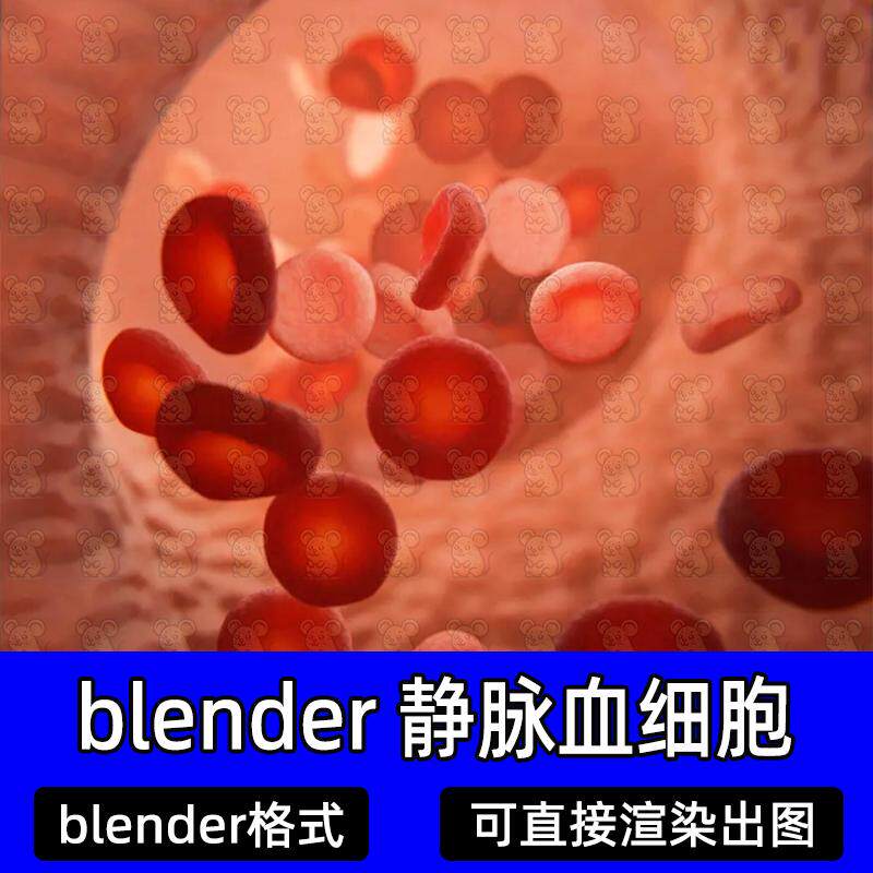 blender红细胞静脉血细胞静脉血管内壁人体生物学静脉系统3d建模