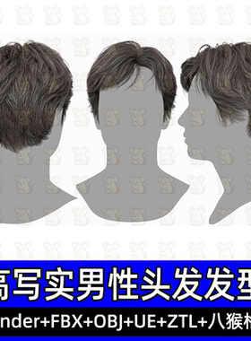 3DScanStore写实毛发男性插片发卡头发型3D模型blende fbx UE八猴