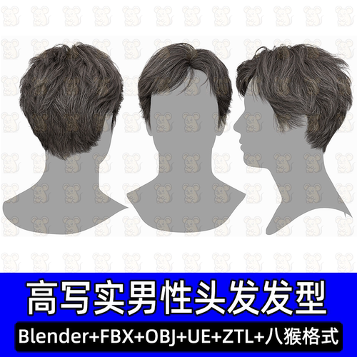 3DScanStore写实毛发男性插片发卡头发型3D模型blende fbx UE八猴