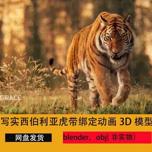 blender西伯利亚虎老虎3d模型带绑定动画动物cg模型毛发影视级