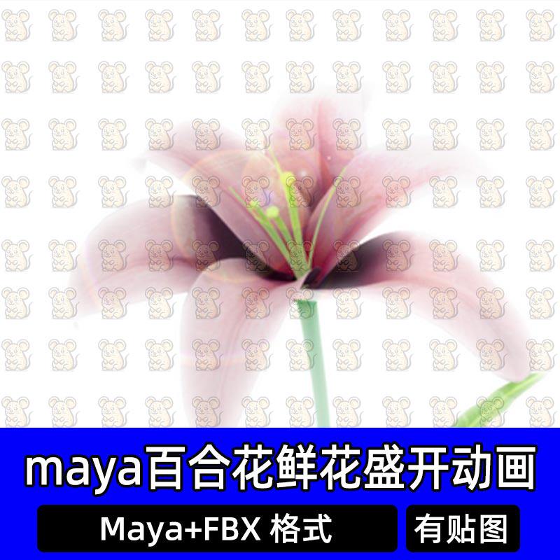 maya百合花鲜花花朵盛开动画百合开花绽放盛开动画3D模型fbx c4d
