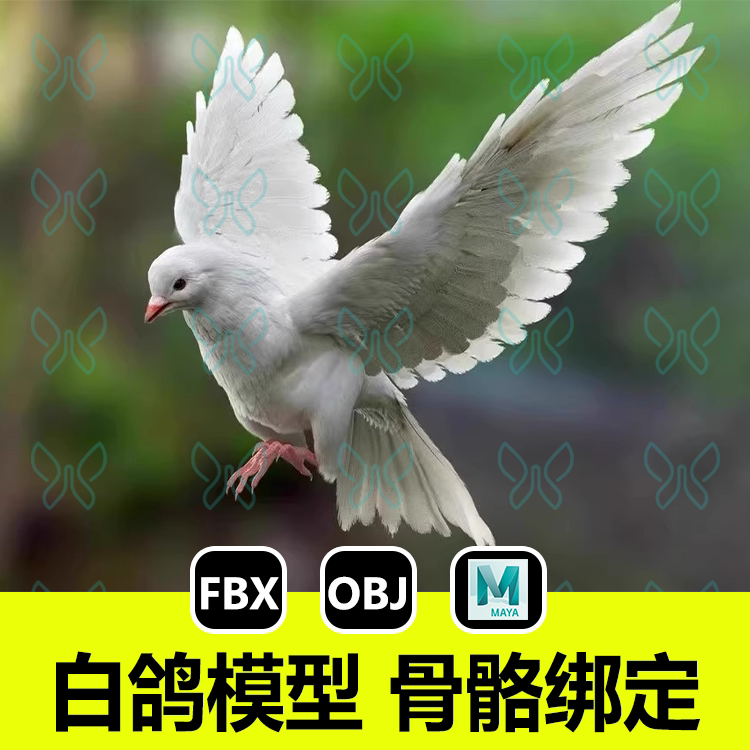 maya写实白鸽turbosquid动物含骨骼绑定肌肉控制器3D模型fbx建模