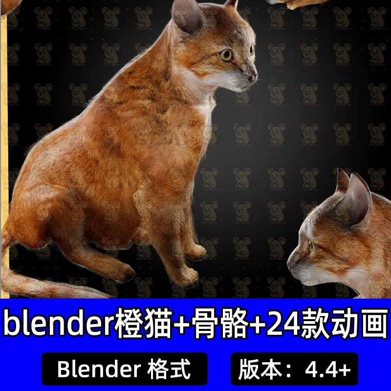 blender影视级写实高质量橙猫动画面片毛发+骨骼绑定24款动画模型