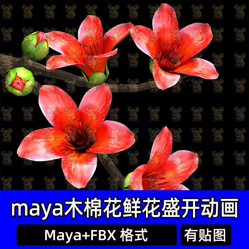 maya木棉花鲜花盛开动画花苞树枝花朵开花盛开动画3D模型fbx c4d