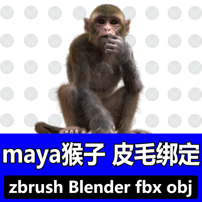Maya建模猴子3D模型皮毛绑定zbrush雕刻参考素材OBJ Blender素材