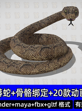20款动画3dmax blender写实蟒蛇毒蛇大蛇骨骼绑定3D模型FBX Maya