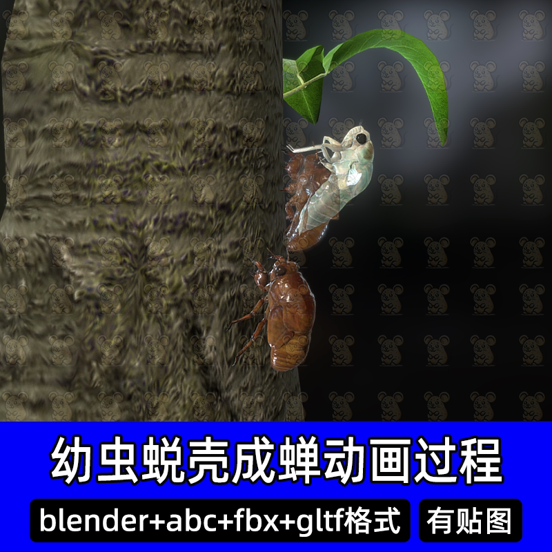 blender蝉昆虫知了幼虫蜕壳成蝉动画过程3d模型带骨骼绑定fbx c4d