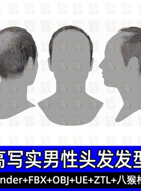 3DScanStore写实毛发男性插片地中海秃头发3D模型blend fbxUE八猴