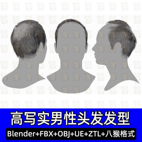 3DScanStore写实毛发男性插片地中海秃头发3D模型blend fbxUE八猴